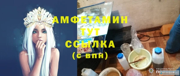 прущие грибы Аркадак