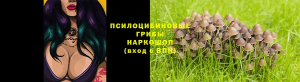 амф Сафоново
