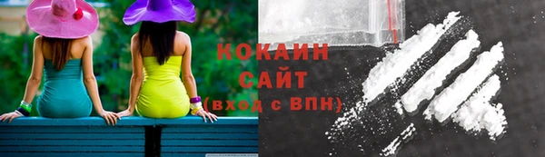 прущие грибы Аркадак