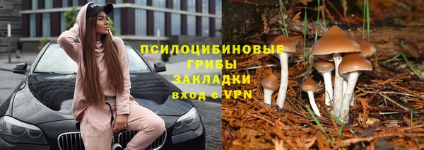 СК Армянск